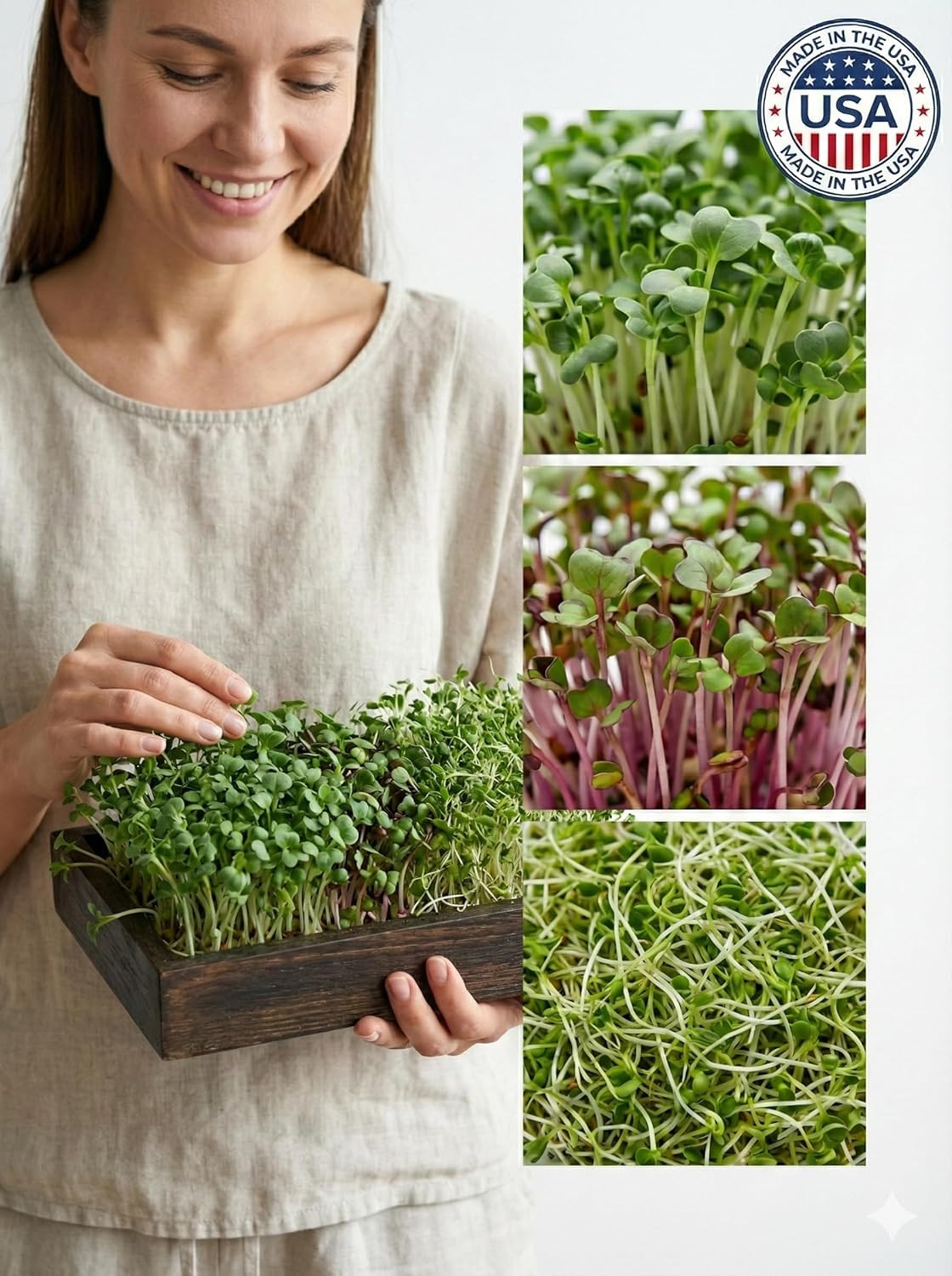 Todd’s Seeds Sprouting Seed Mix; Broccoli, Radish, Alfalfa, Non-GMO 1/4 Pound