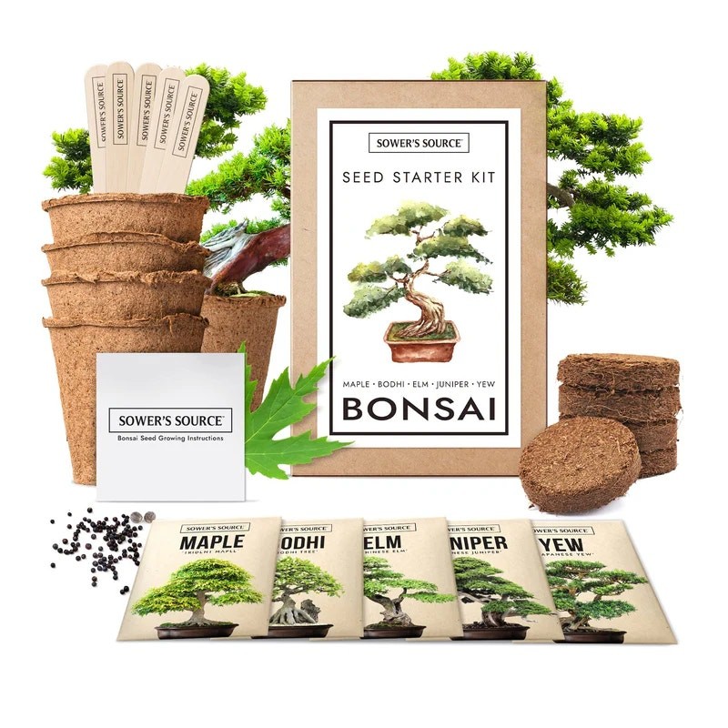 New Sower’s Source Indoor & Outdoor Bonsai Tree Starter Seed Kit w/ Soil Mix