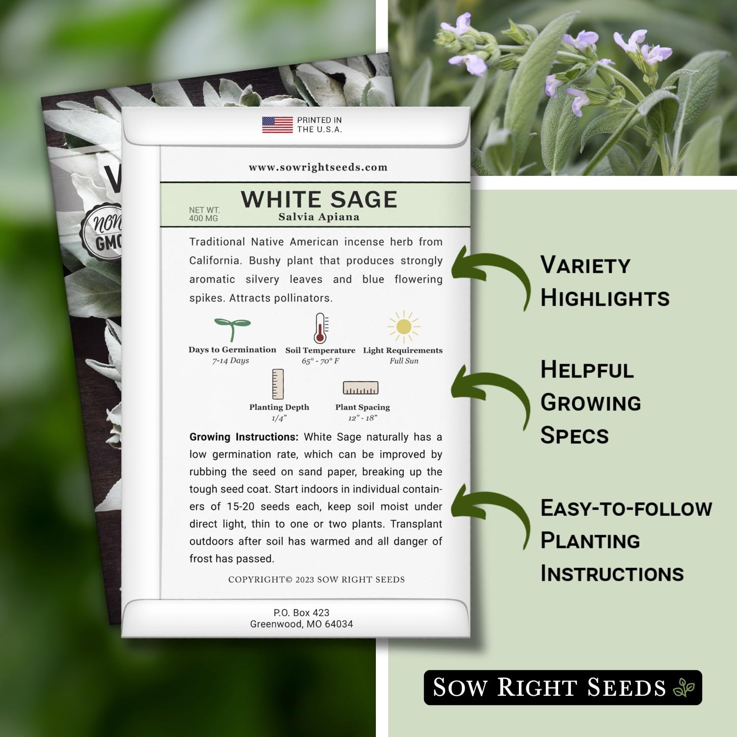 White Sage Seeds for Planting – Non-GMO Heirloom – Indoor/Outdoor Herb Garden