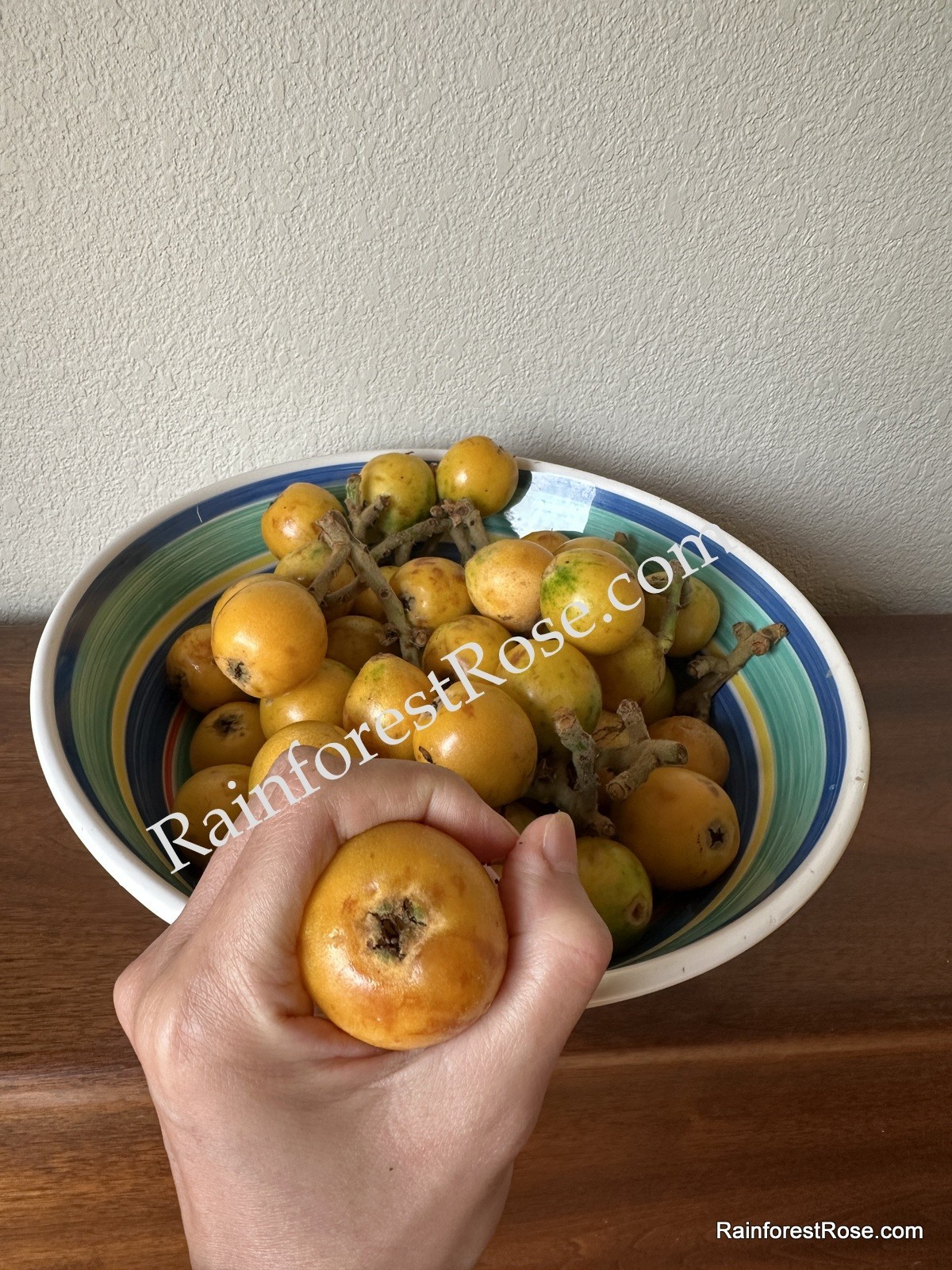 10 fresh Loquat seeds for planting delicious fruit, sweet, sour vitamin