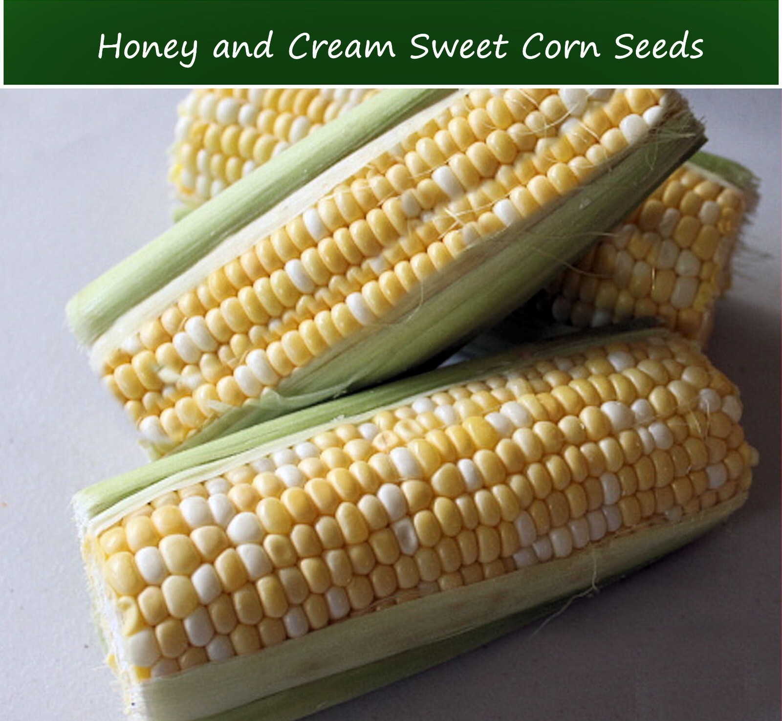 Vegetable Seeds -Honey & Cream Sweet Corn- 50 Seeds -Bi Color
