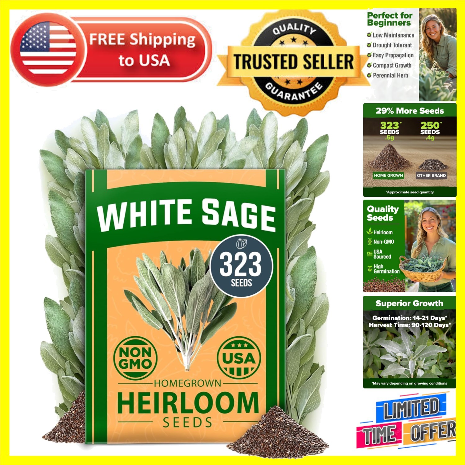 Non-GMO Heirloom White Sage Seeds (323 Pack) – Garden Gift for All Skill Levels