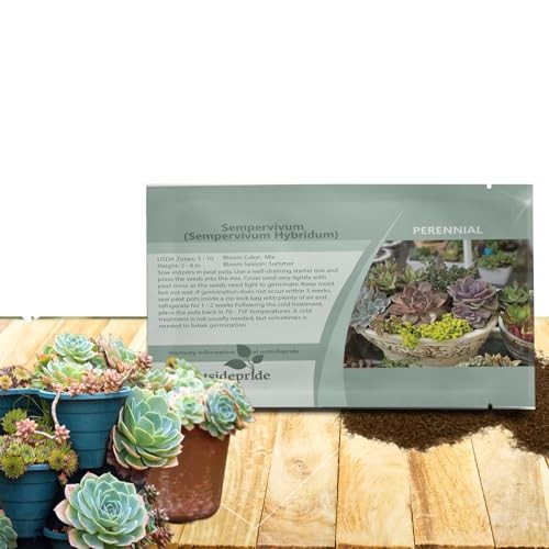 Hybridum Sempervivum Seeds – 500 Pcs Perennial Flower Mix Seeds with 500 Seeds
