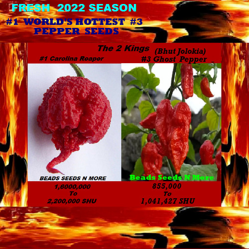 “COMBO PACK 2 KINGS” Carolina Reaper HB22a – Ghost Pepper 80+ Seeds