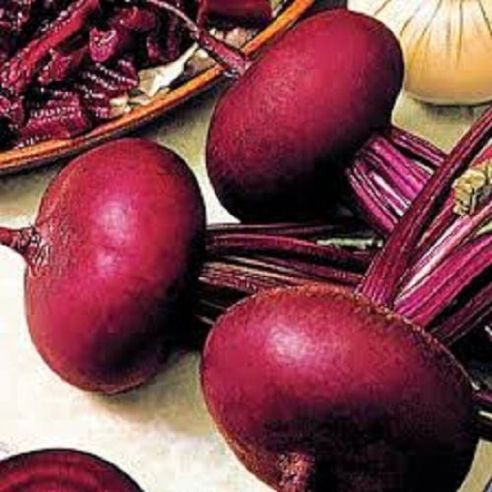 250 PIATTA D’EGITTO BEET Italian Heirloom Beta Vulgaris Cicla Vegetable Seeds