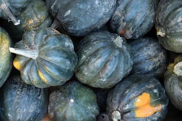 Table Queen Squash Seeds