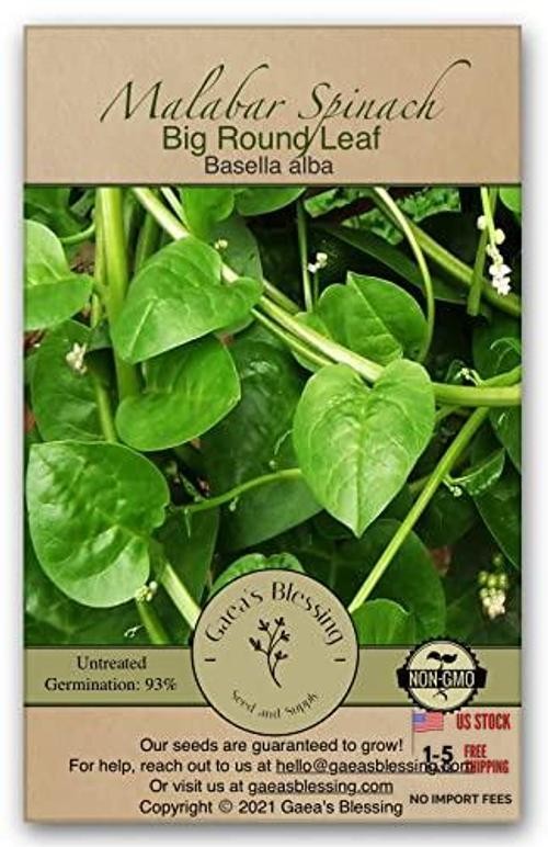 Seeds – Malabar Spinach Seeds – Non-GMO Seeds with Easy to Big Round Leaf