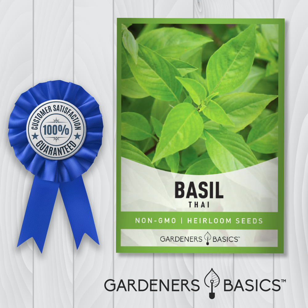 Thai Basil Seeds