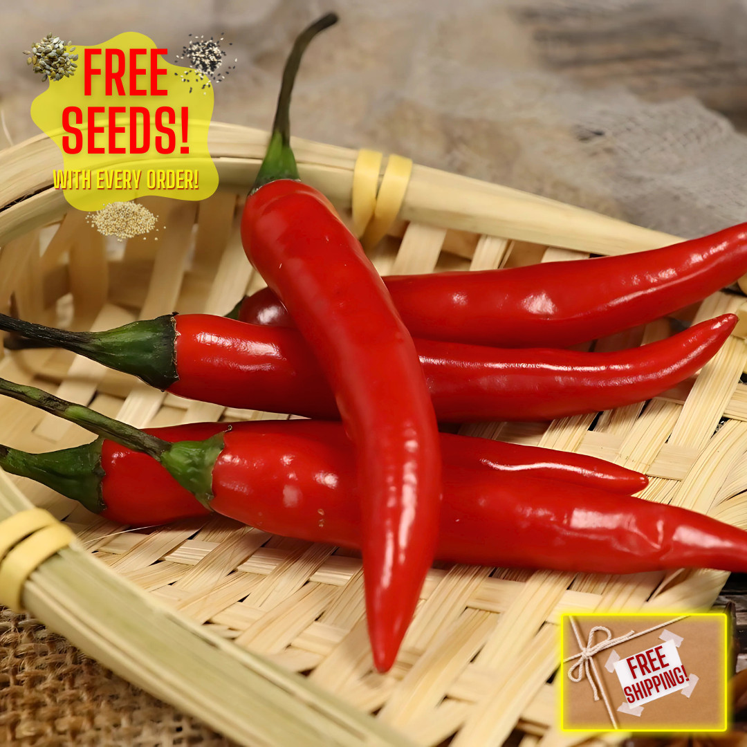 Fresh Red Thai Pepper Seeds | La Jiao | Heirloom Non-GMO | Vegetable Seeds
