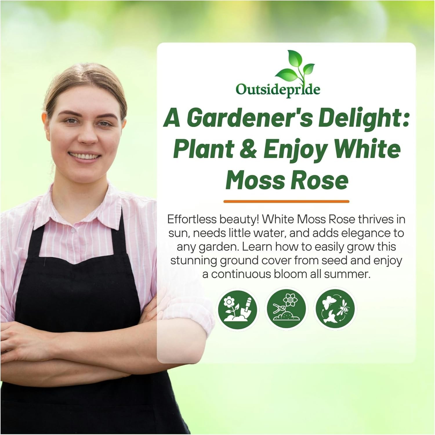 250 Seeds Drought Tolerant White Portulaca Moss Rose Ground Cover Plant &