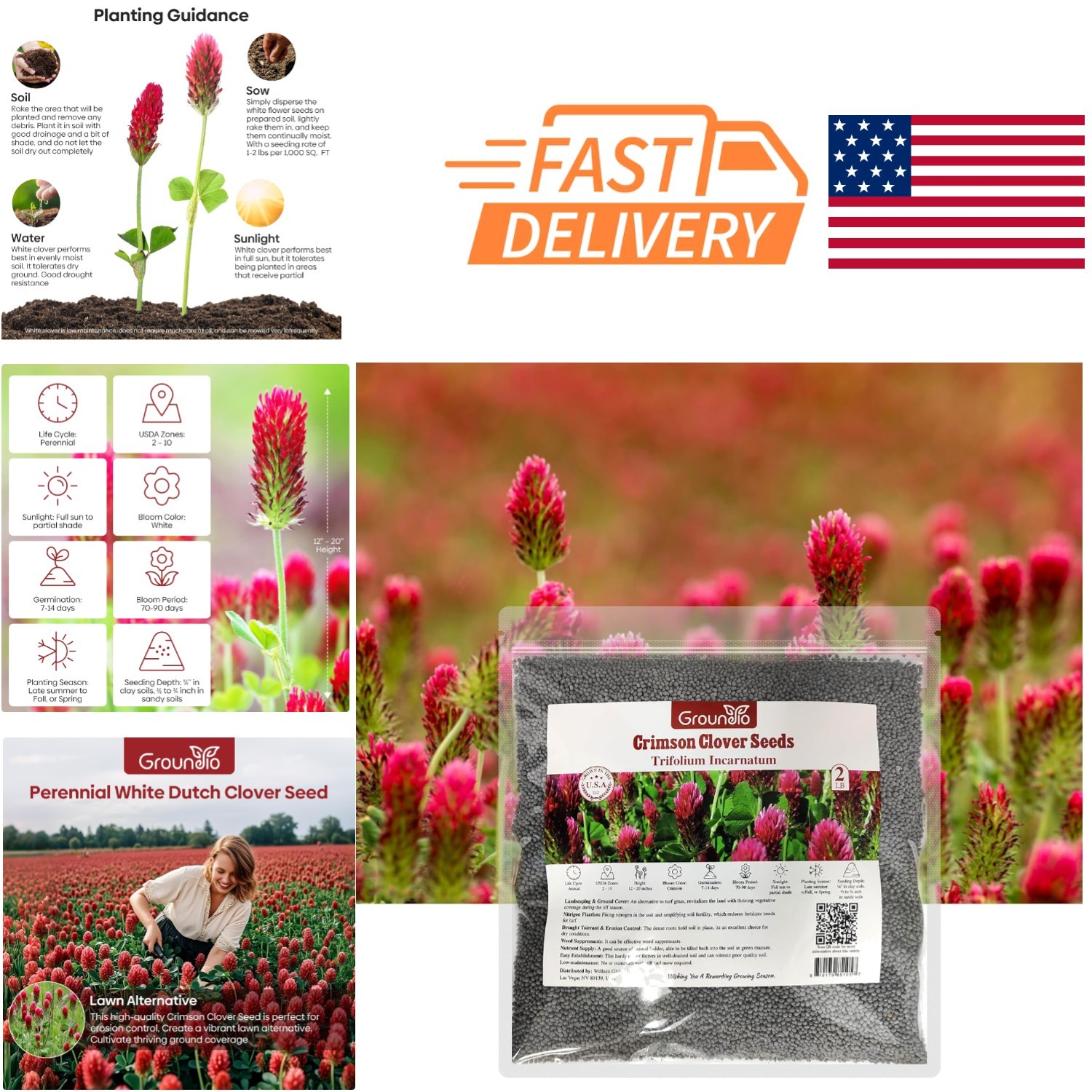 Annual Crimson Clover Seeds 2 Lbs Nitrocoated Inoculated Attracts Pollinators