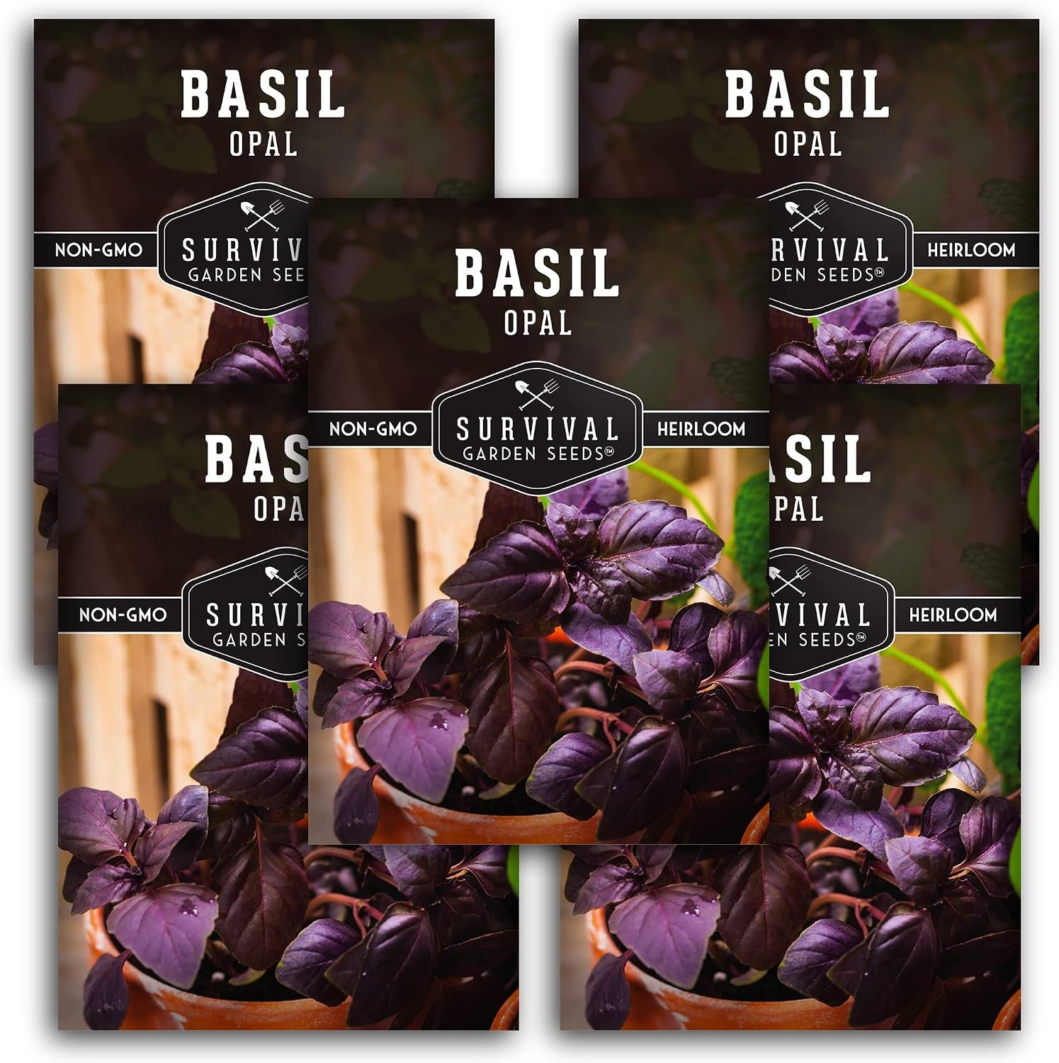 Opal Basil Seeds for Planting – 5 Pack Dark Purple Nearly Black Leaves – Unique