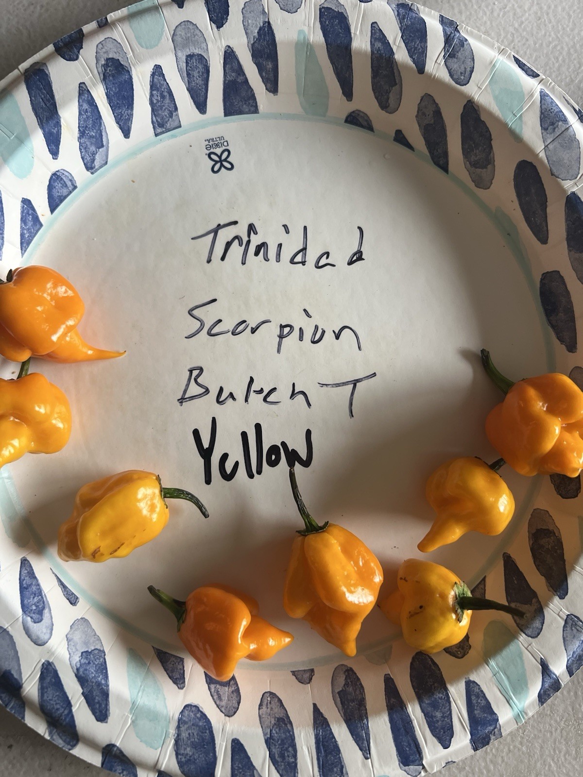Trinidad Scorpion Butch T Yellow Hot Pepper Seeds 15+ Per Pack