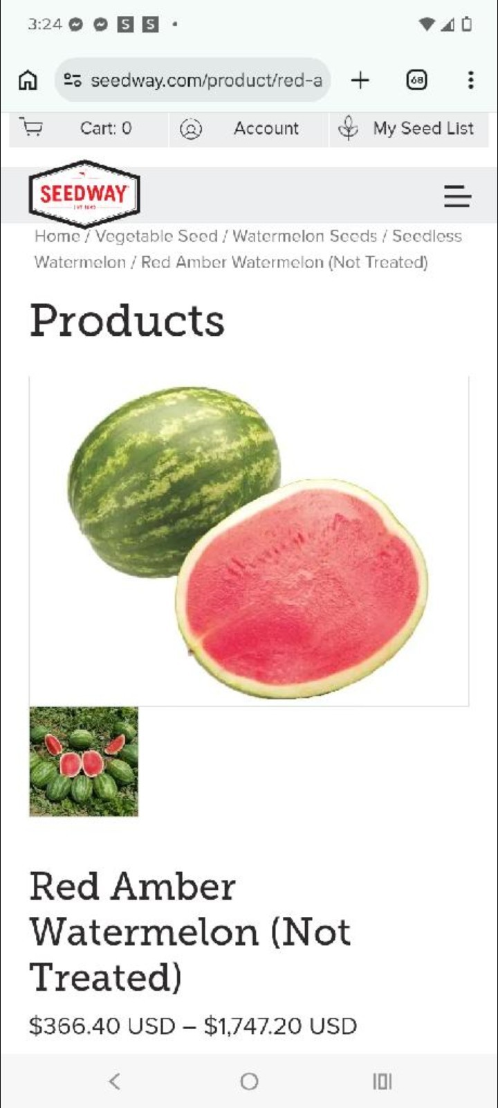Red Amber Primed 1000 Count Watermelon Seeds