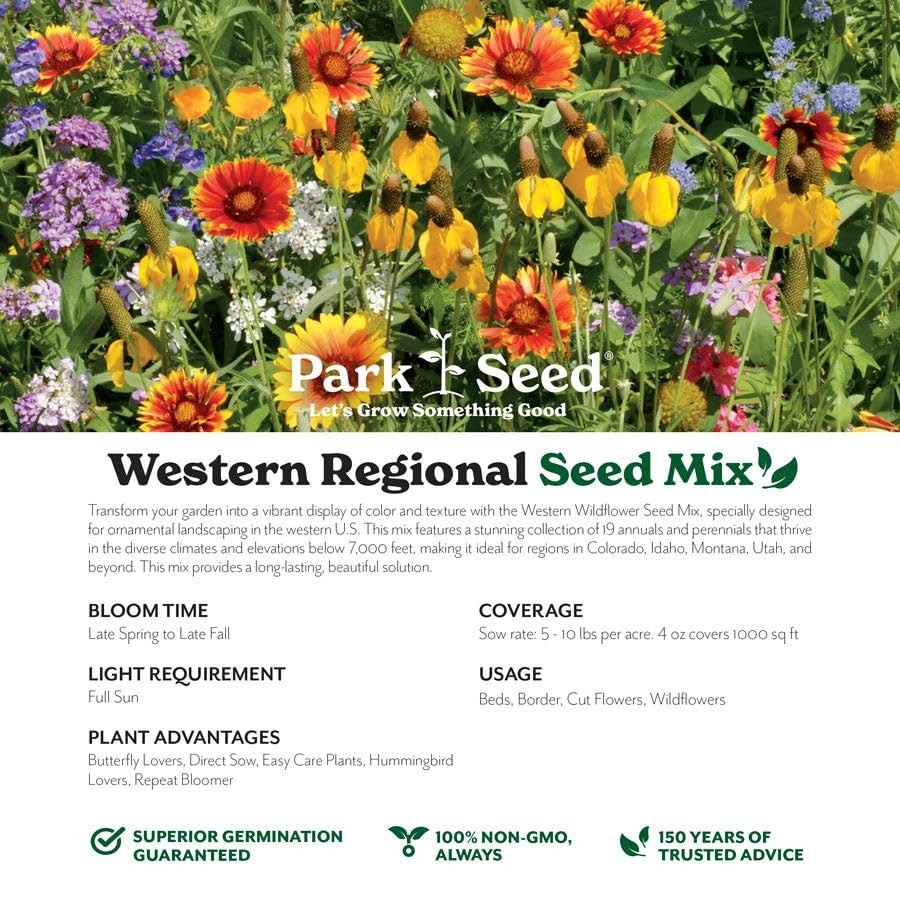 Vibrant Wildflower Garden Seeds Mix – Annual & Perennial, Easy Grow for Pollinat