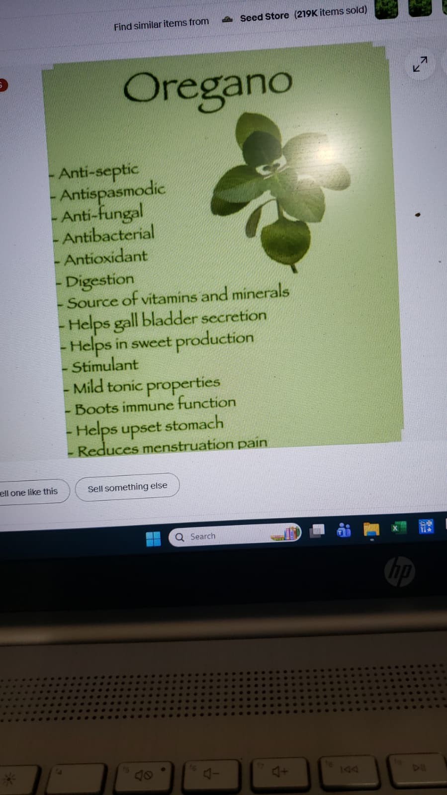 Italian Oregano Herb Seeds, Origanum Vulgare Organic NONGMO Free Shipping USA