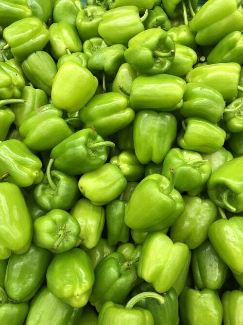 Green Sweet Pepper Seeds 50 Green Bell – NON-GMO – US Organic