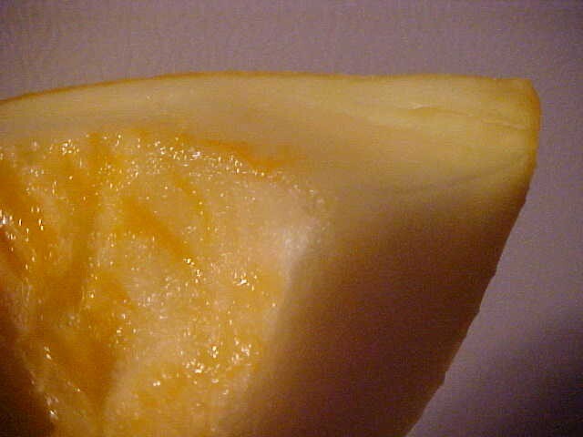 WORLD KNOWN 12 SEEDS “PECOS” CANTALOUPE MELON, SAID TO BE SWEETEST CANTALOUPE