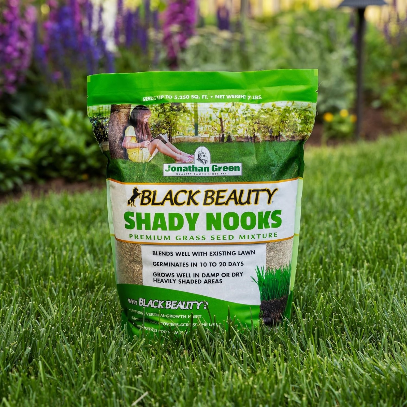 Jonathan Green Black Beauty Shady Nooks Premium Grass Seed Mixture, 7lb (4 Pack
