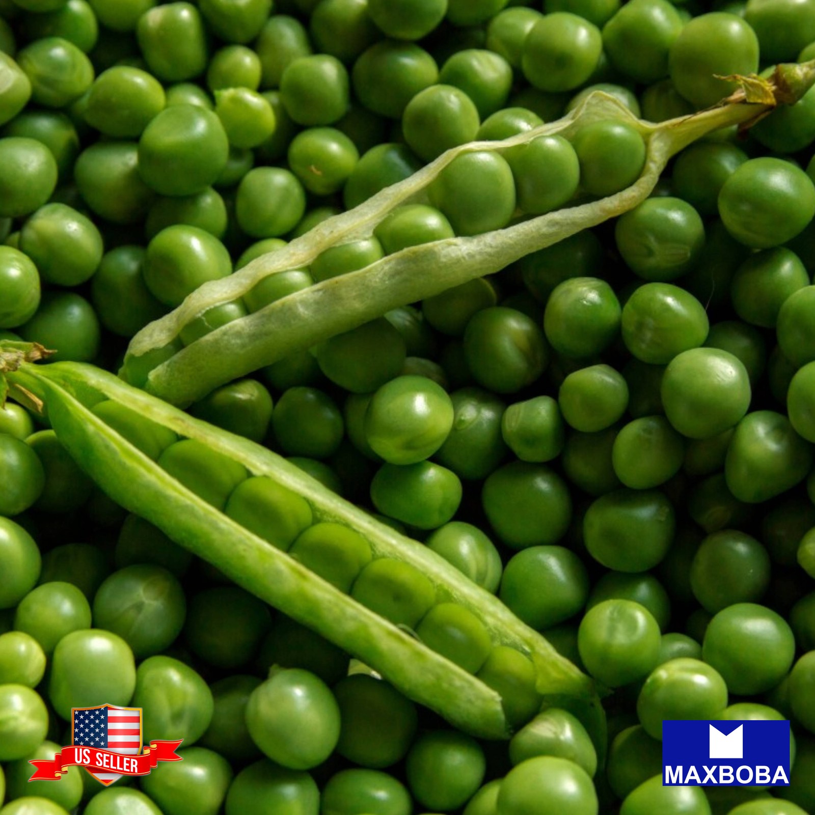 100+ Pea Seeds Early Frosty Non-GMO Heirloom Vegetable BOGO 50% OFF
