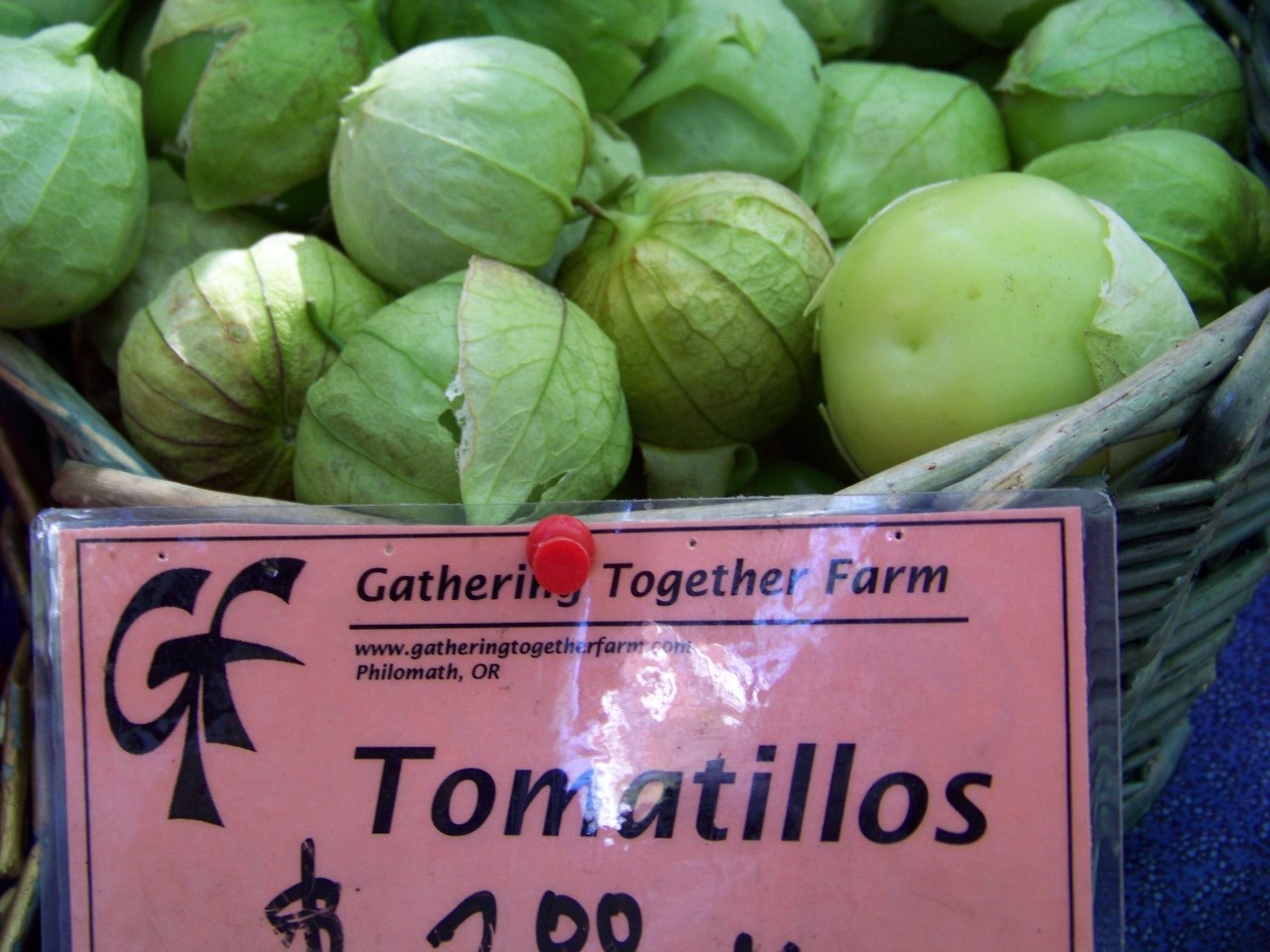 tomatillo, TOMA VERDE, for salsa, 25 seeds! GroCo*