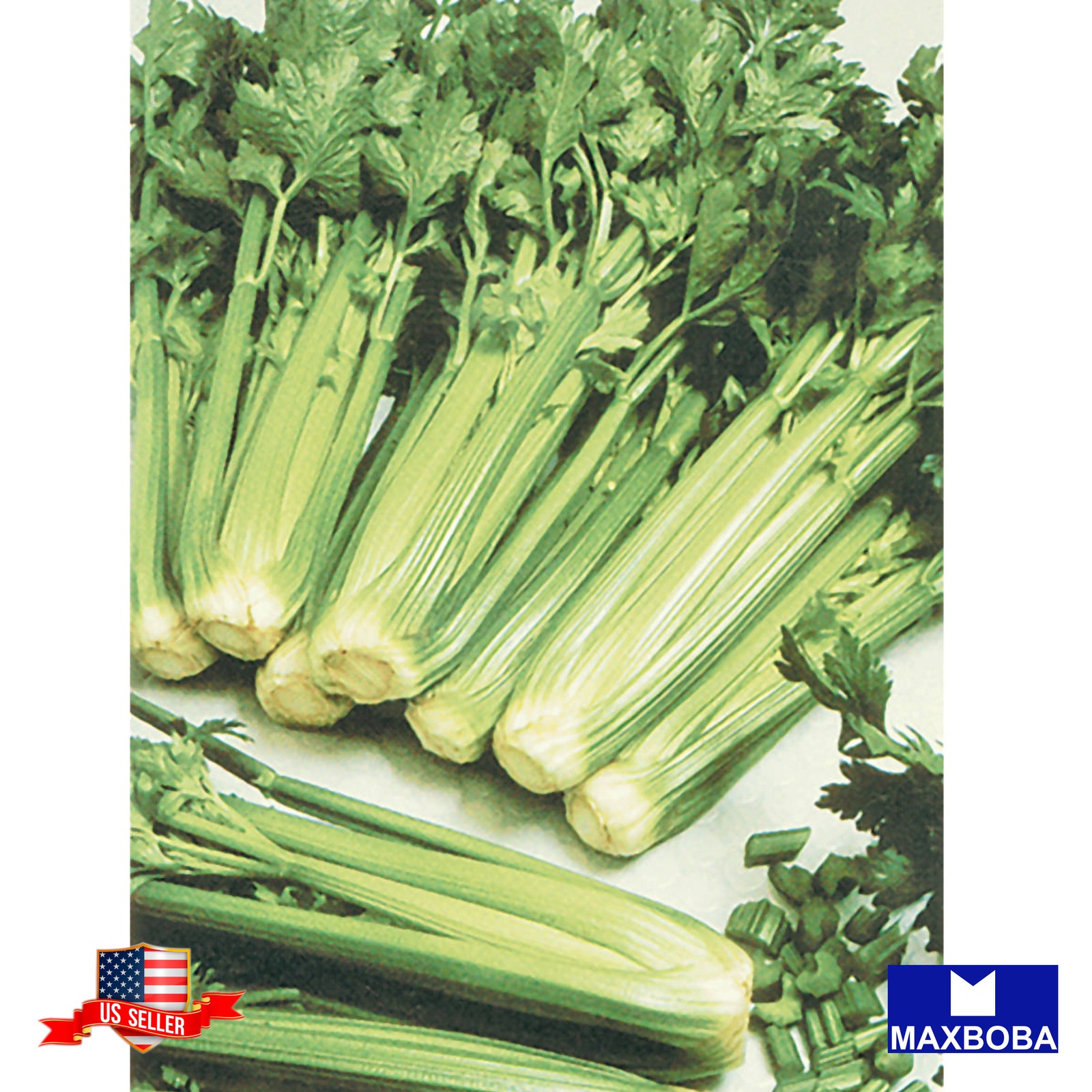 550 Utah 52-70 Celery Seeds -Non-GMO Heirloom Garden