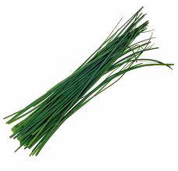 CHIVES SEED, HEIRLOOM, NON GMO, 25+ SEEDS, CHIVE SEED, CHIVE SEEDS