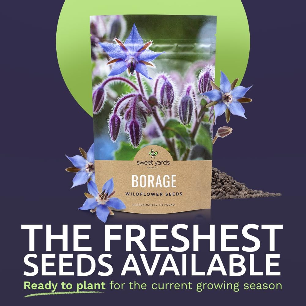 Borage Seeds Bulk 5,000+ NonGMO Open Pollinated Wildflower Seeds
