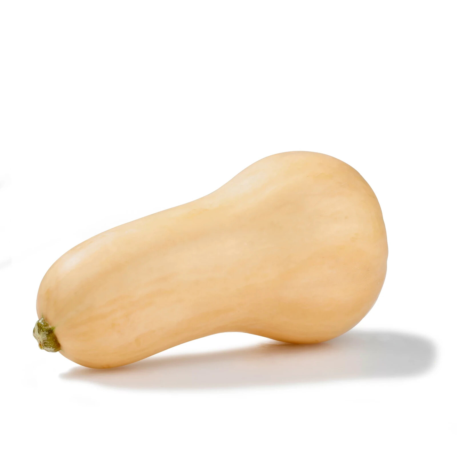 BUTTERNUT SQUASH 10 VEGETABLE SEEDS FREE USA SHIPPING