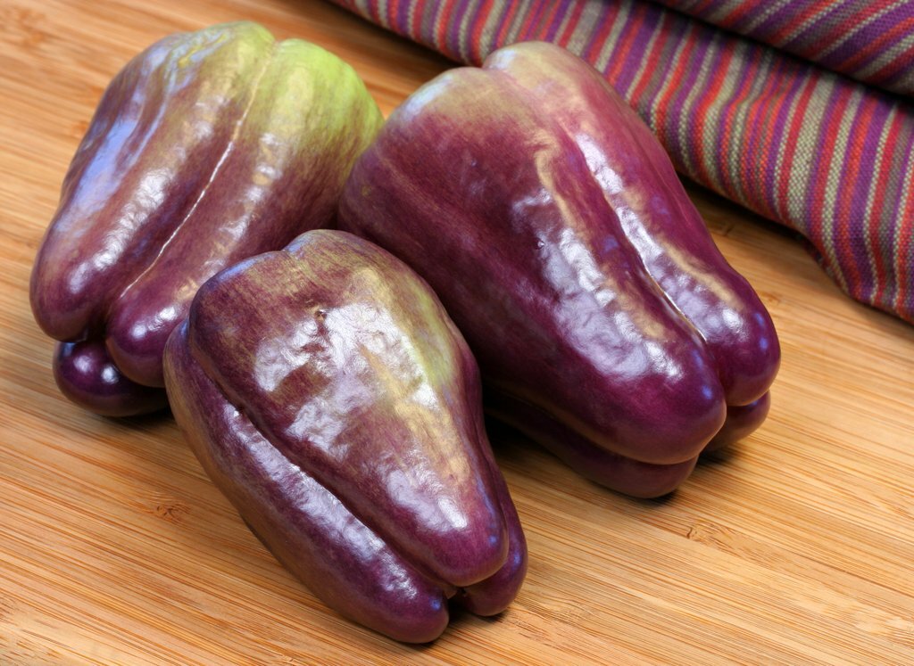 PURPLE BEAUTY SWEET BELL PEPPER SEEDS NON-GMO super color super flavor DELICIOUS