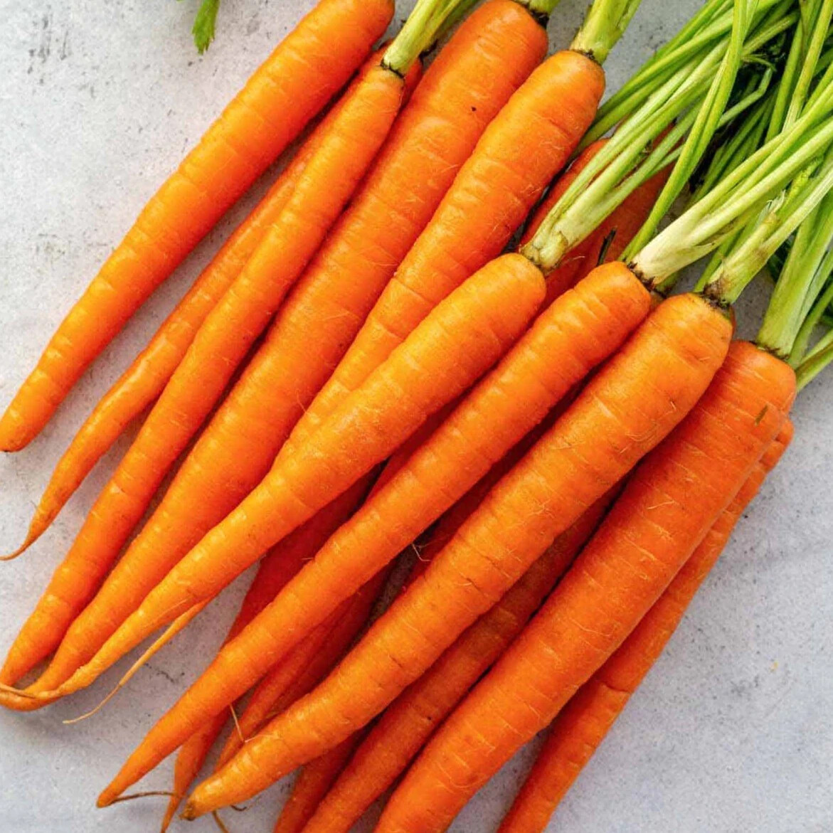 300 IMPERATOR CARROT SEEDS ~ 2026 ~ heirloomseedguy ~ USA