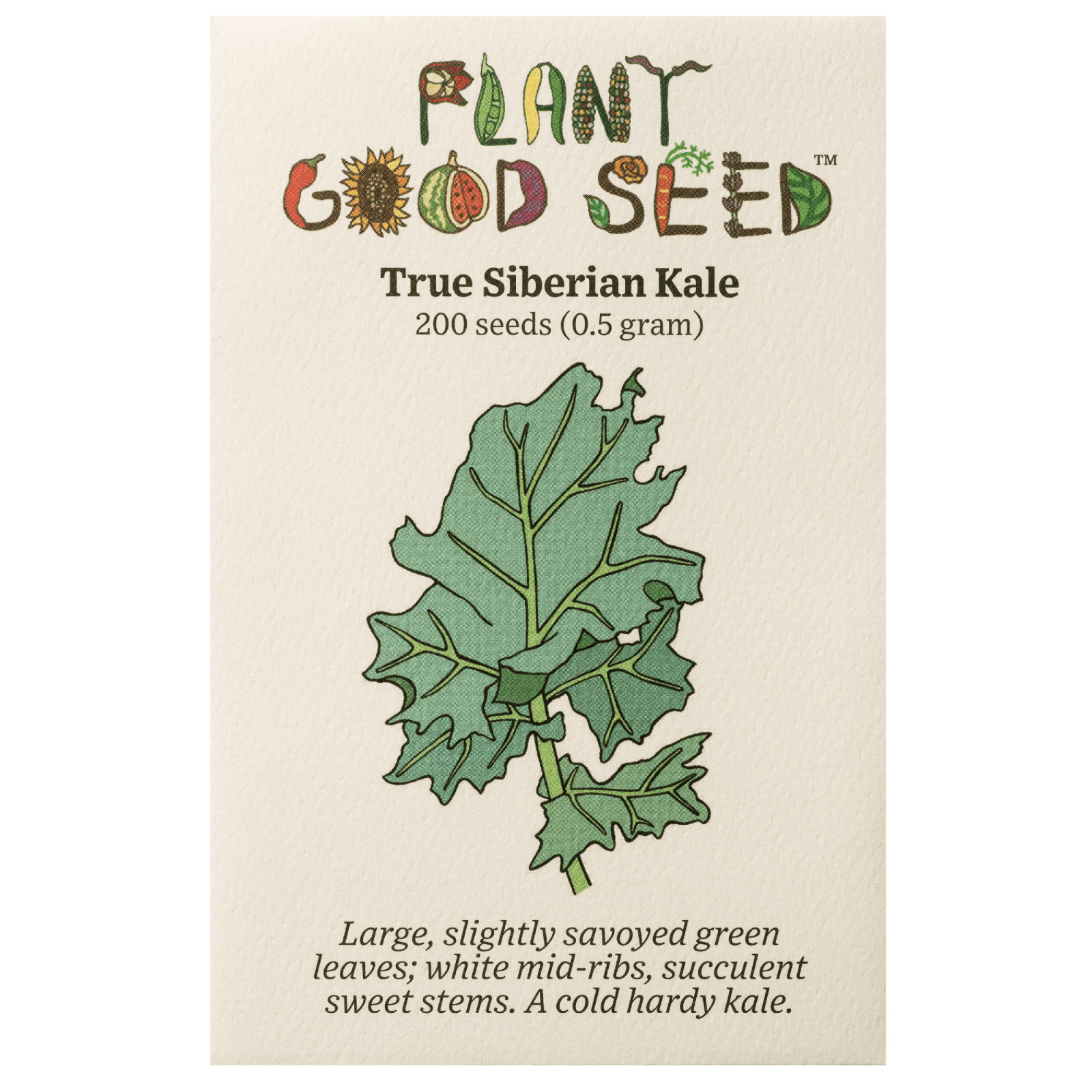 True Siberian Kale Seeds for Planting: Cold Hardy Bulk Seed Packet USDA Organic