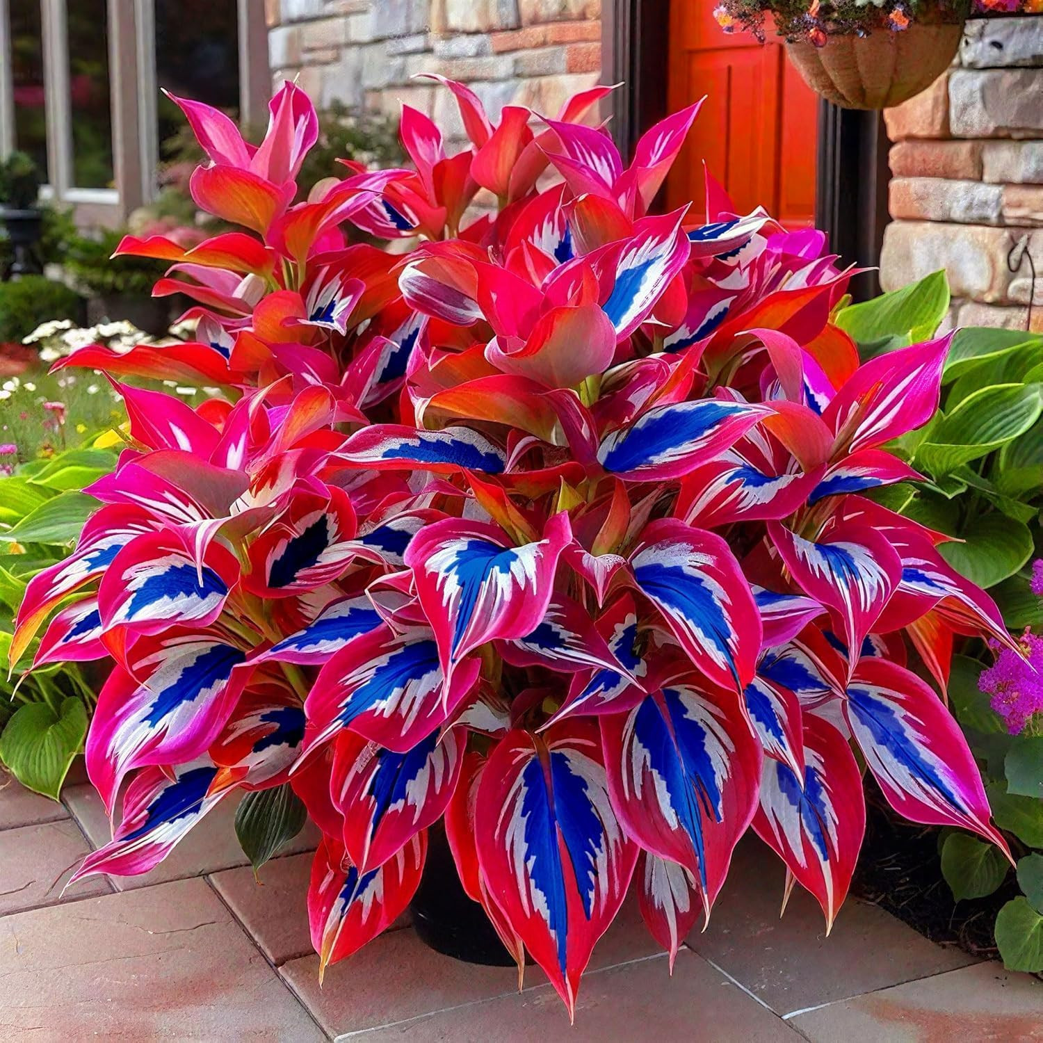 Hosta Seeds for Garden, 200 Pieces Perennial Shade Plants, Easy Growing Ornament