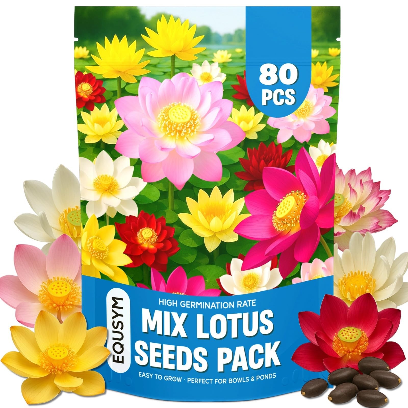 80Pcs Lotus Seeds for Planting – Bonsai Bowl Lotus Flower Seeds, Mixed Non-GM…
