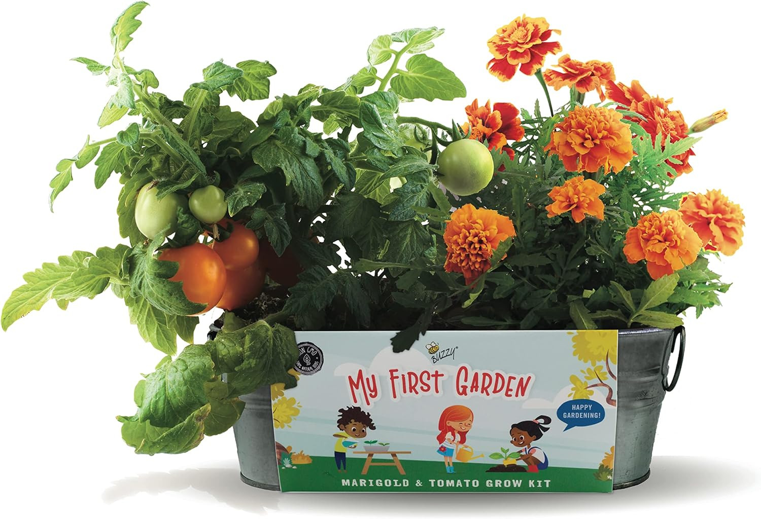 Seeds My First Garden Windowsill Grow Kit, Tomato and Marigold Seeds, Indoor Gar