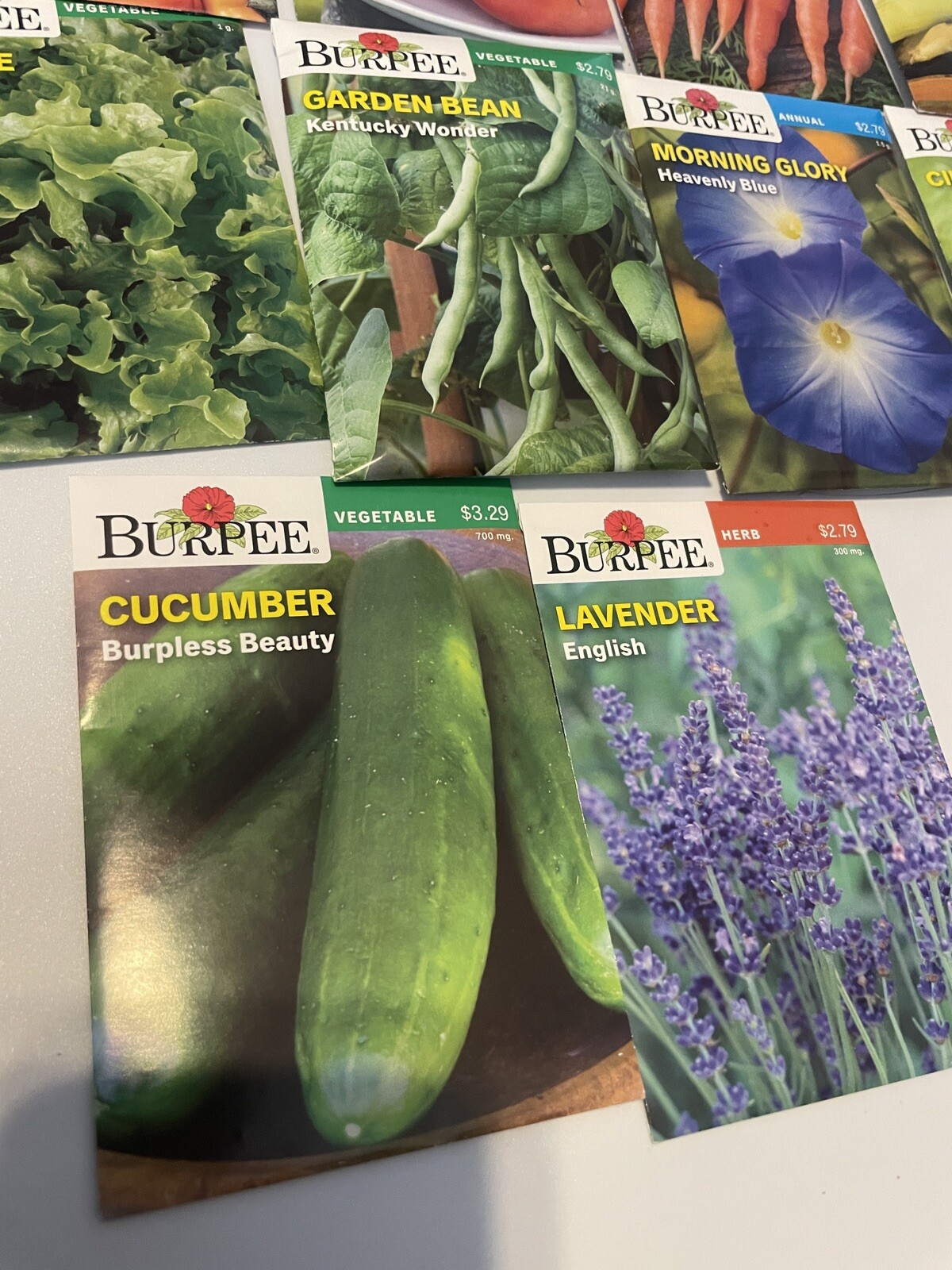 Garden Seeds Lot of 17 Packs of Burpee Vegetable & Herbs Dated 2021