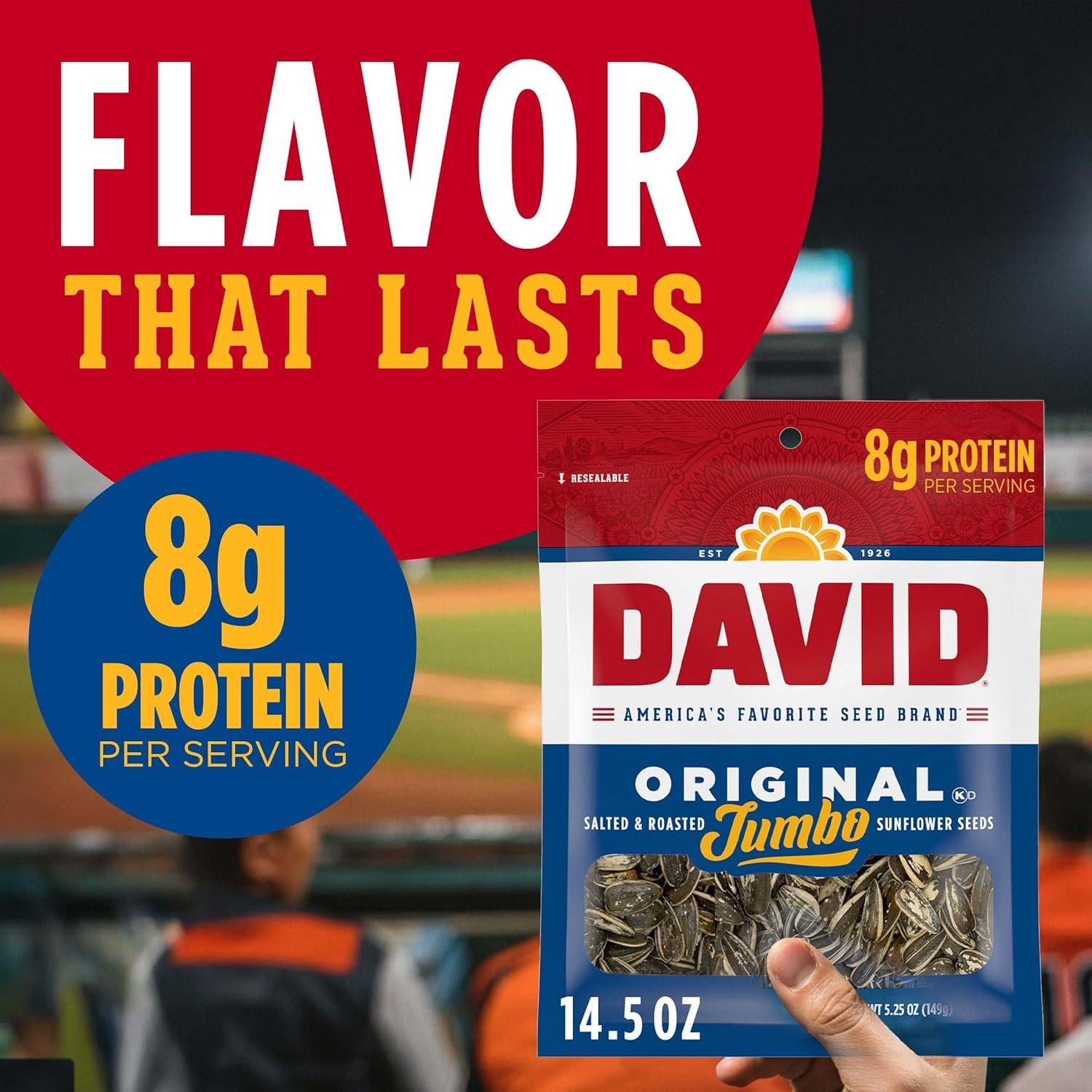 DAVID Sunflower Seeds Original Flavor 14.5oz Pack of 12