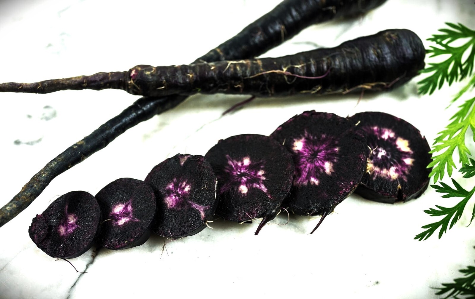 Black Nebula Carrot Seeds