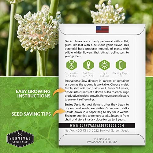 Packs Garlic Chives Seed for Planting – Packet with Instructions to Grow 3
