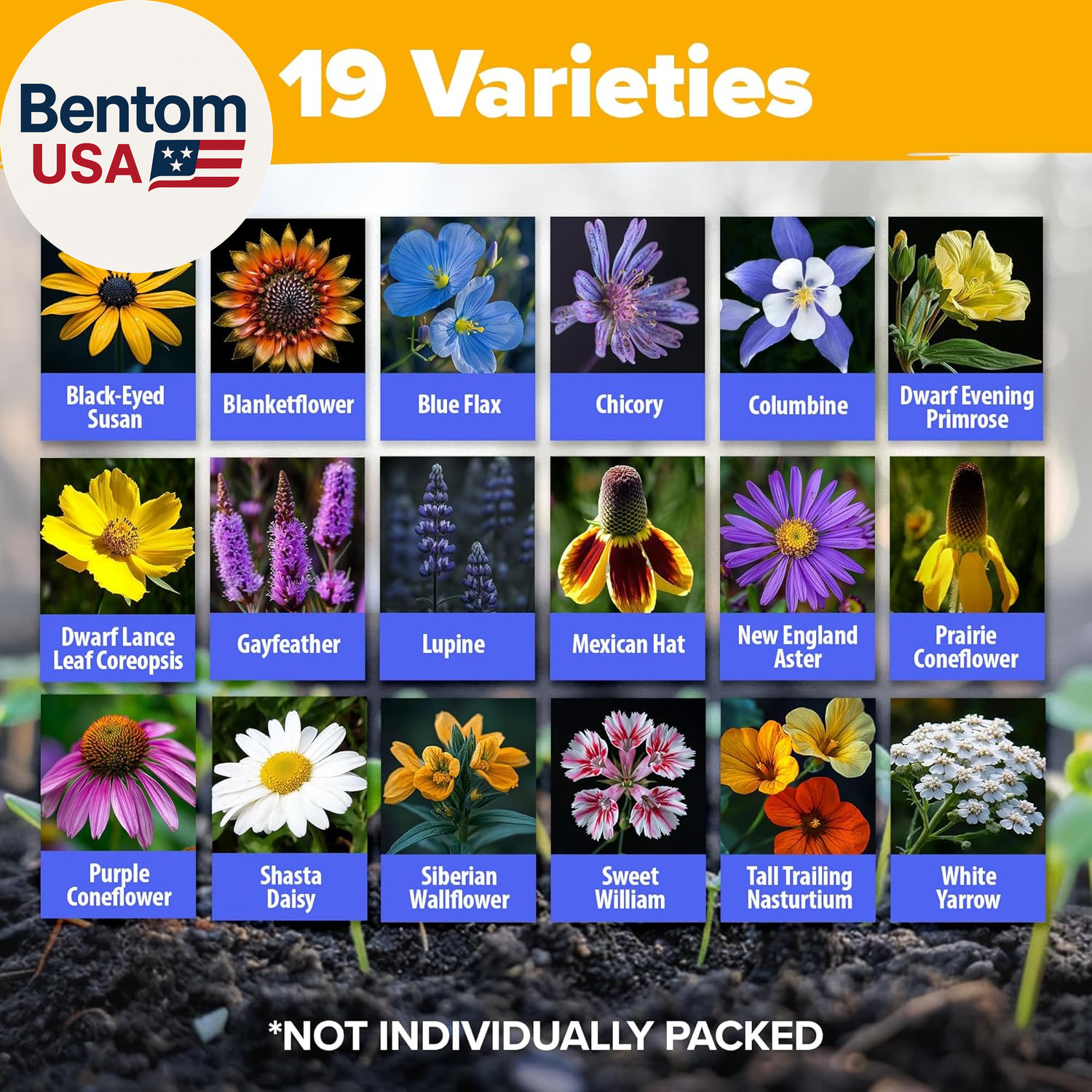 Wildflower Seeds Bulk 4 Oz 63,200+ Seeds 19 Varieties Non-Gmo Perennial Mix, But