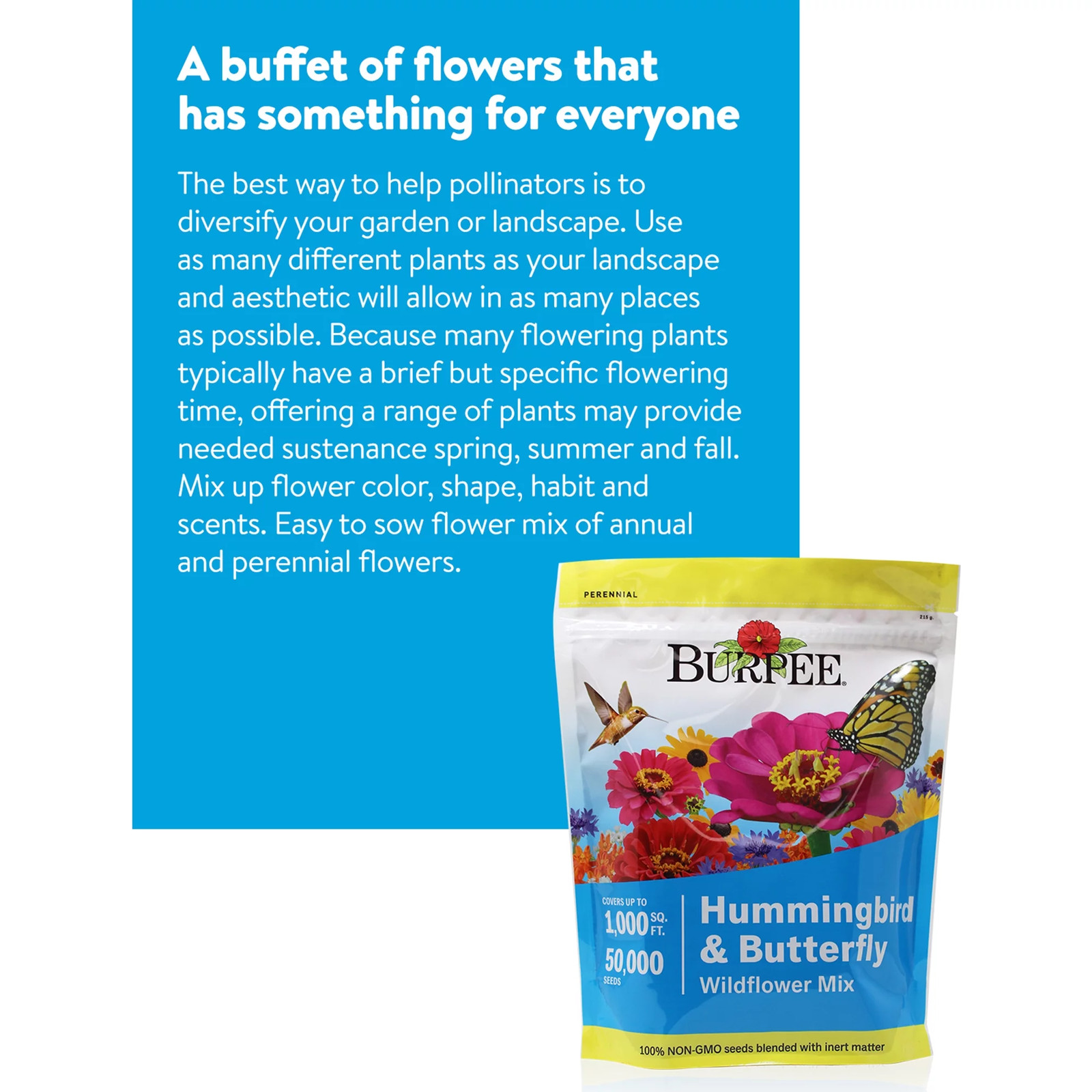 Hummingbird & Butterfly Mix Wildflower Seeds – Non-Gmo, Attracts Pollina