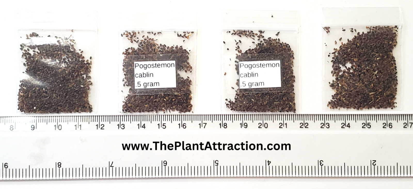 Pogostemon Cablin .5 Gram Seeds, Fragrant Patchouli Perennial Herb Garden Plant