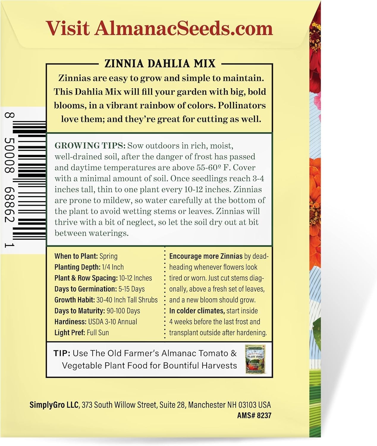 200 Non-GMO Zinnia Seeds Dahlia Mix – Vibrant, Pollinator-Friendly Blooms!