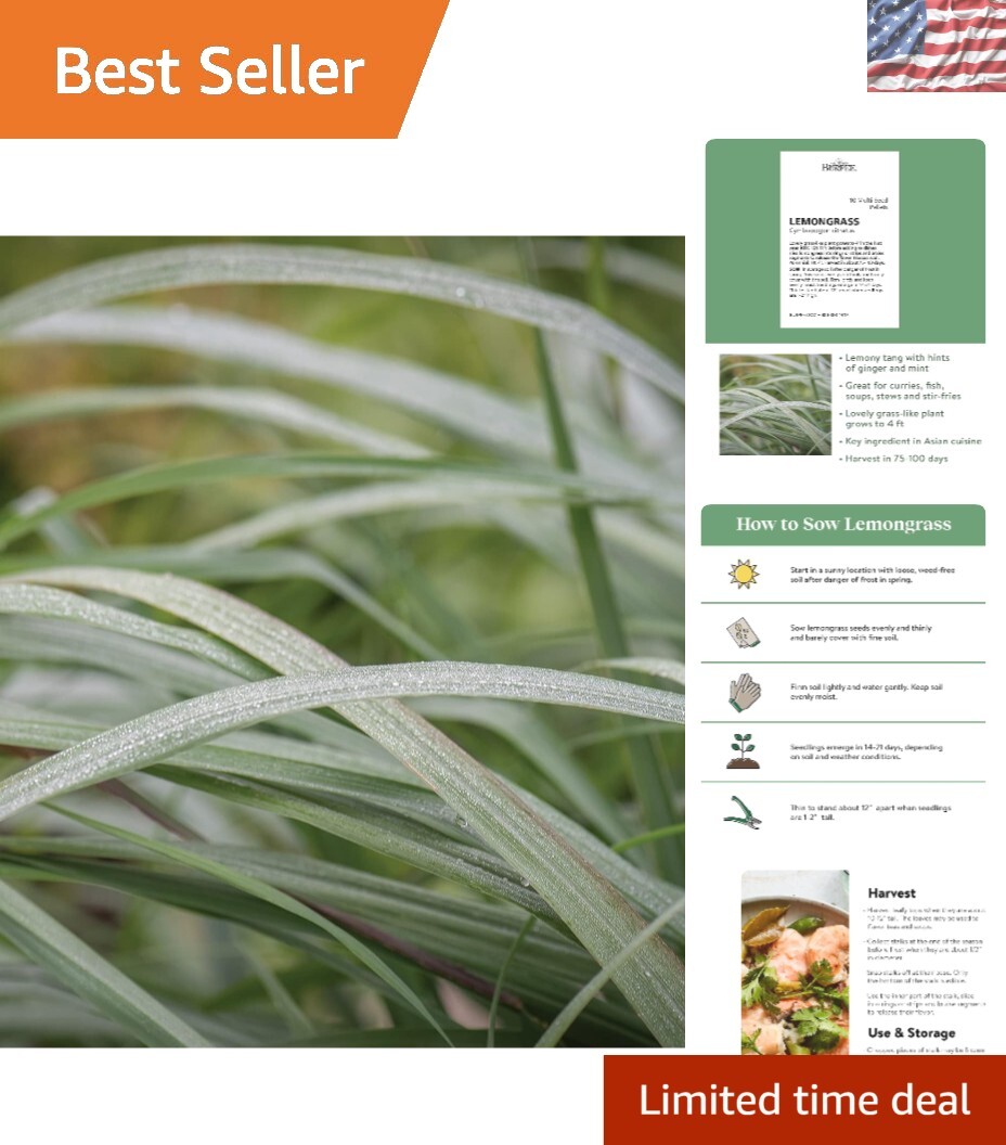 Lemongrass Herb Seeds – 10 Non-GMO, Easy to Grow Pellets for Culinary Delights