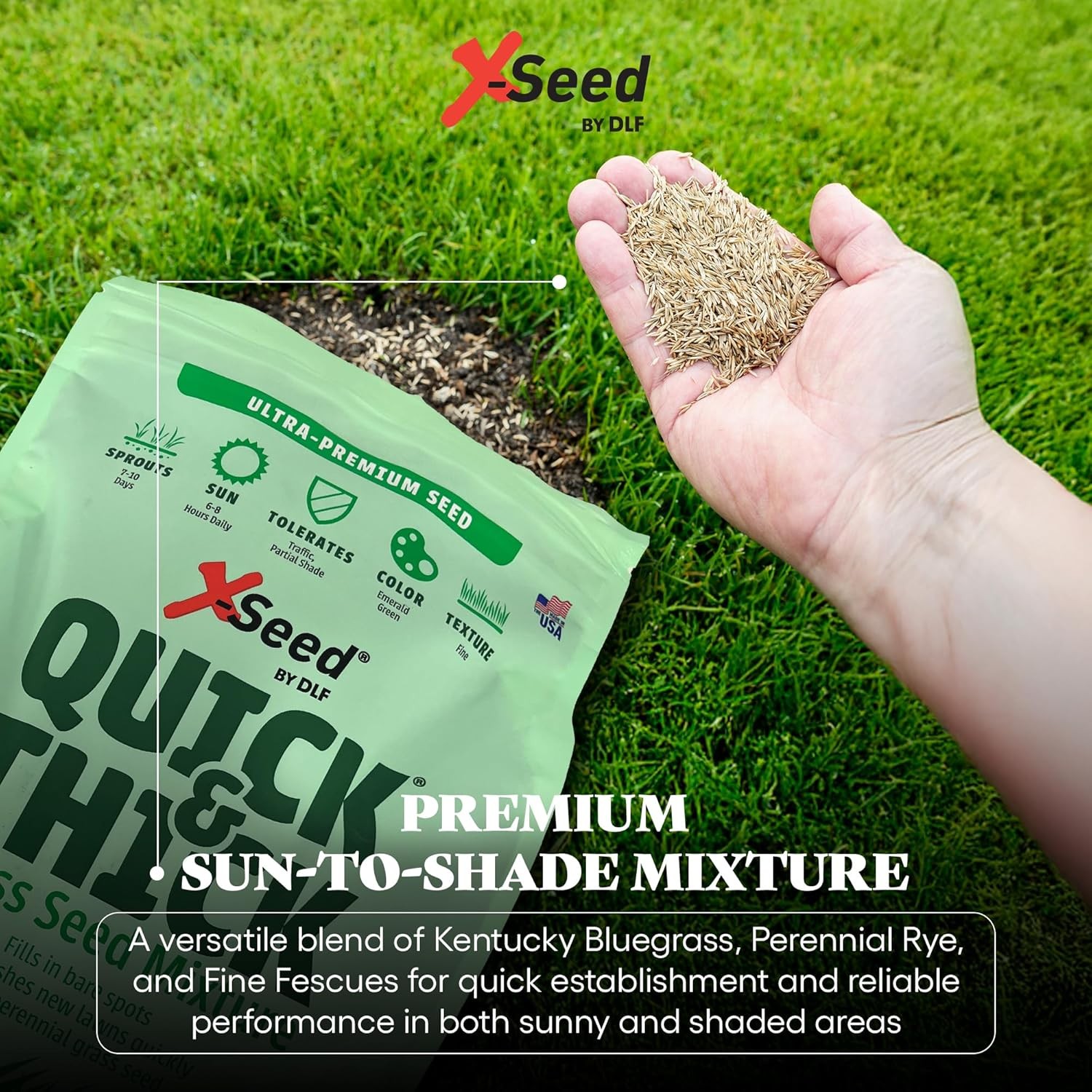 Ultra Premium Quick and Thick Lawn Seed Mixture – Rapid Germination for Any Lawn