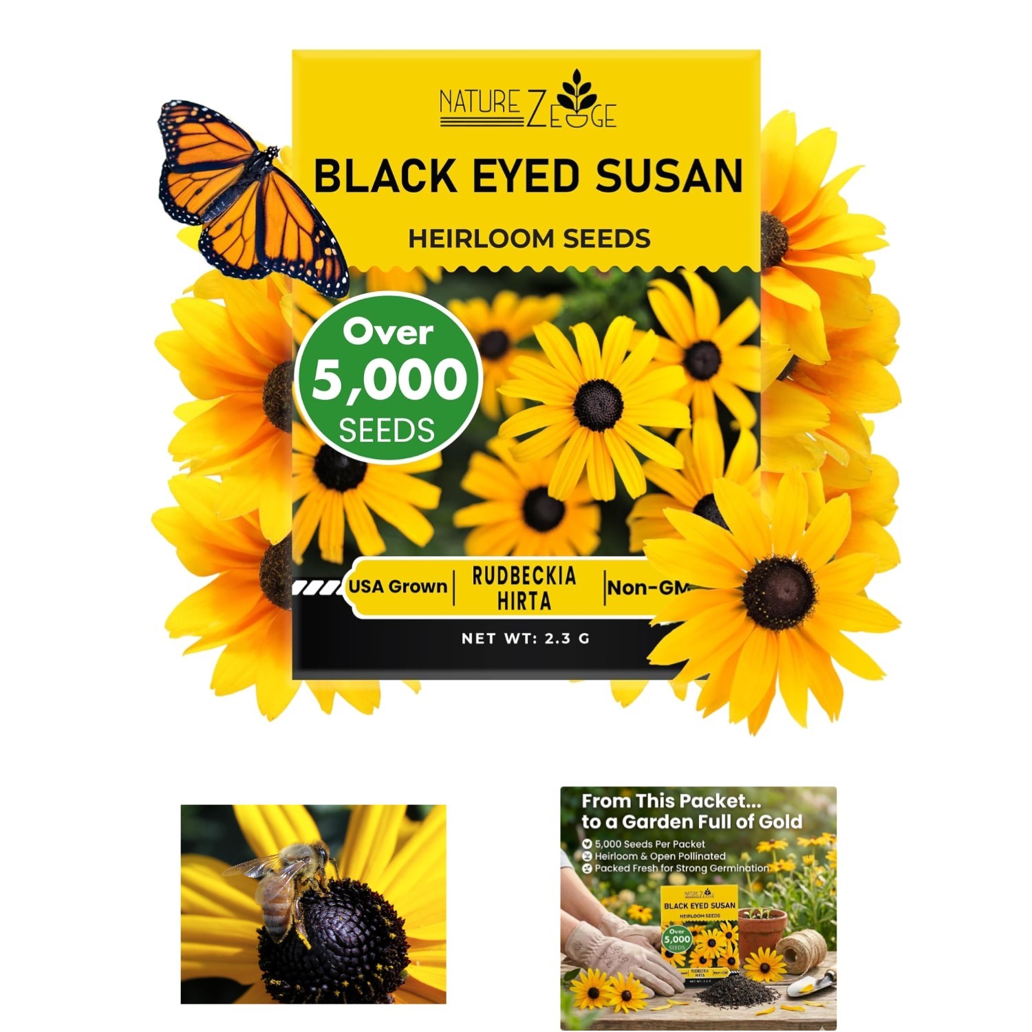 Pollinator-Friendly Black Eyed Susan Flower Seeds – 5000 High Germination Seeds