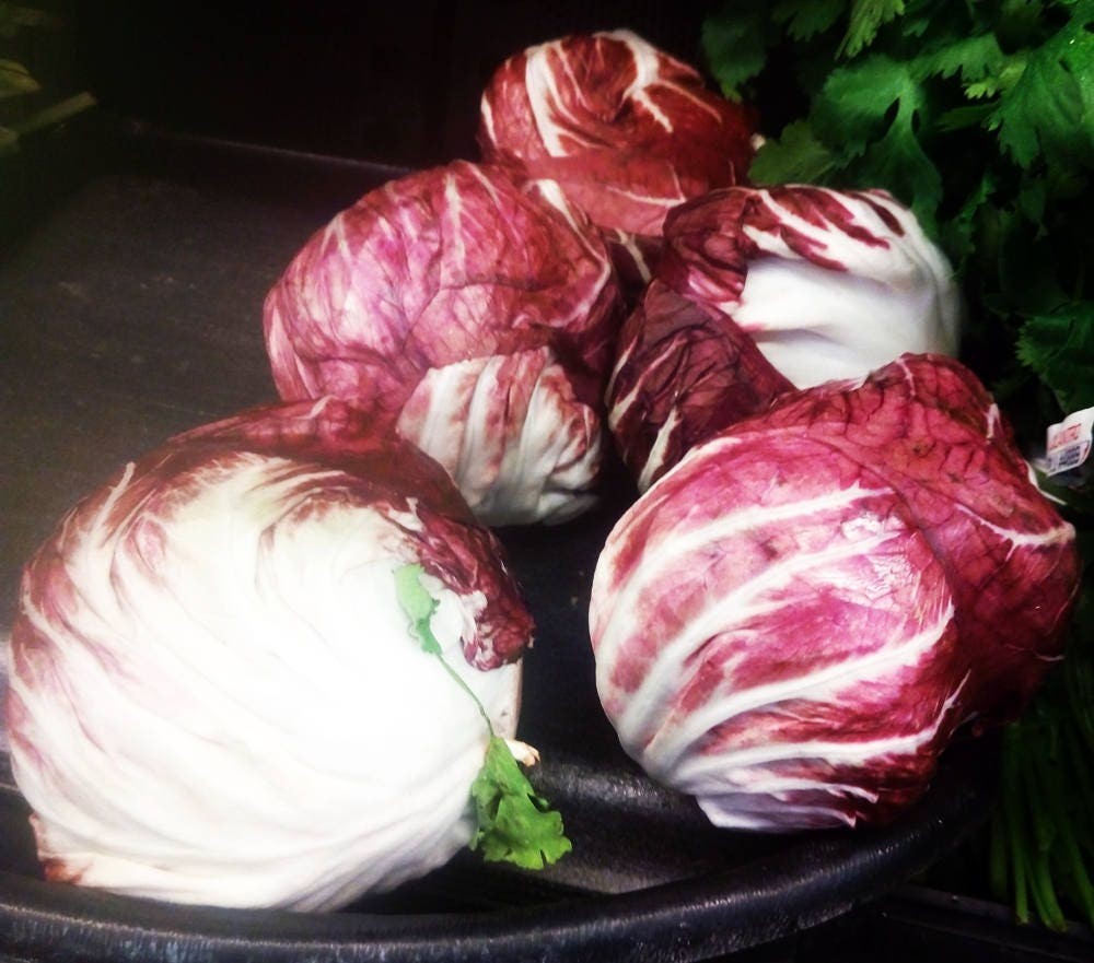 Radicchio Seeds Rossa Di Verona Heirloom Box Garden Seeds LLC Red Variety