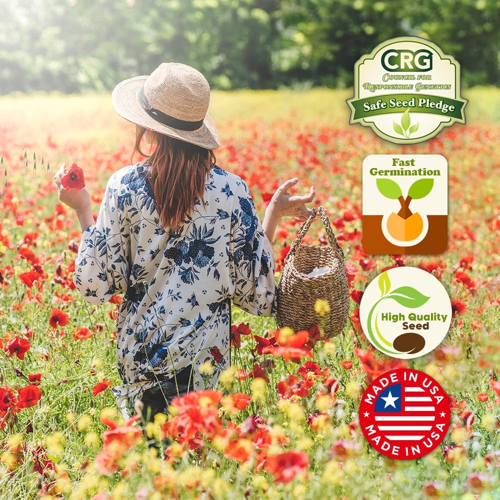 Parade of Poppy Wildflower Seeds – 1oz, Open-Pollinated Flower Orange