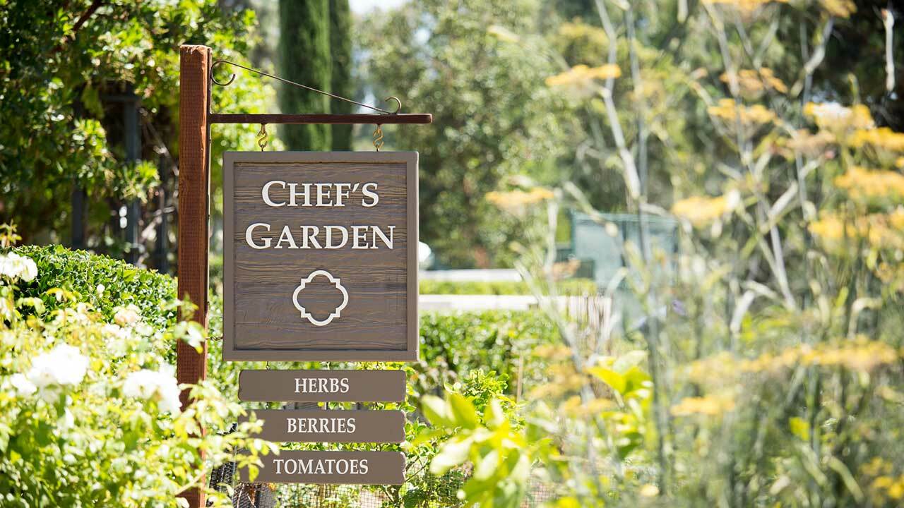 150+ Heirloom Vegetable Seeds 6 Variety Garden Set #5 Emergency Survival NON-GMO