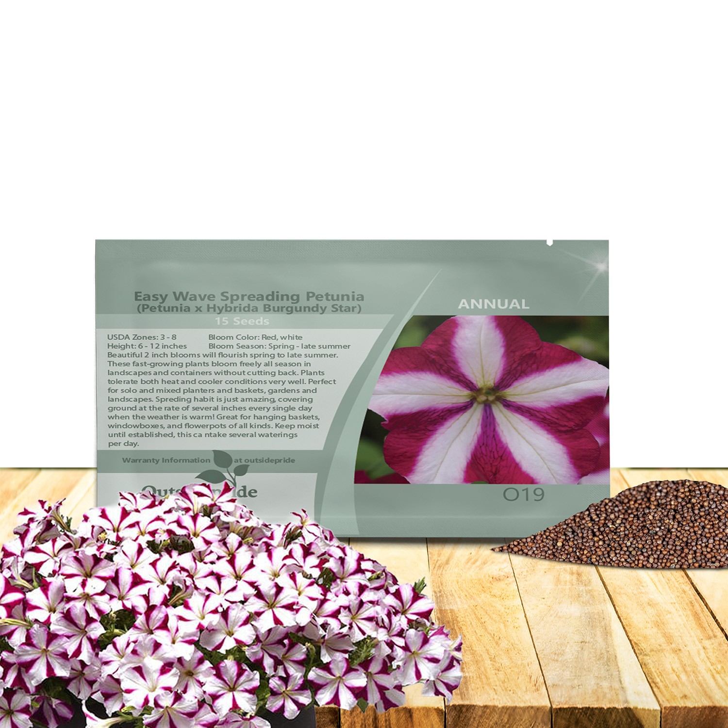 15 Seeds Easy Wave Spreading Petunia x Hybrida Burgundy Star Flower Seeds